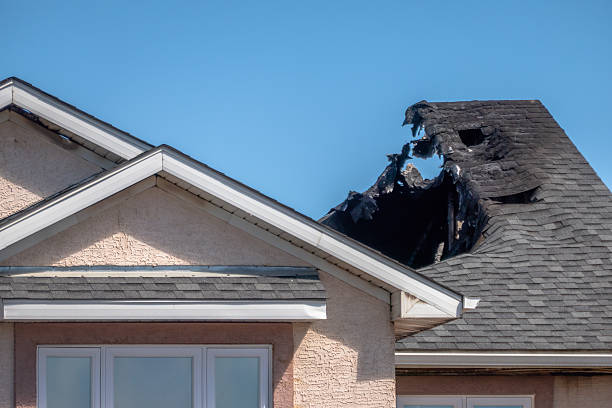 Top rated local Fire Damage Removal specialists in Hampton, MD